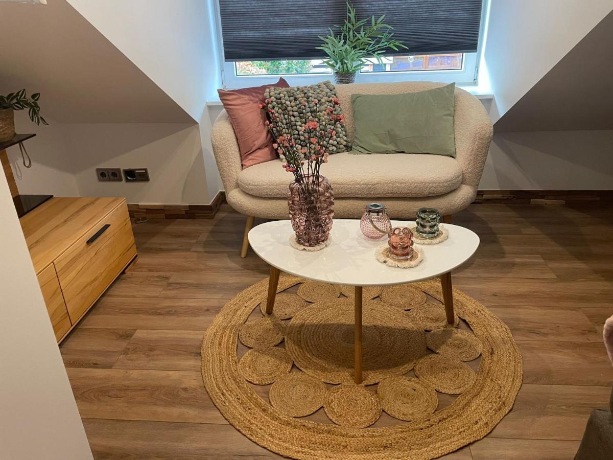 Hallo Maastricht B&B Fientje Extérieur photo